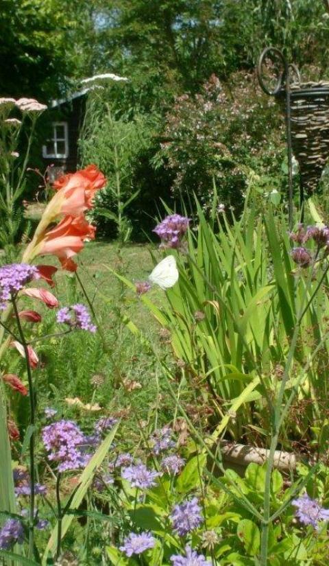 De tuin van Eden